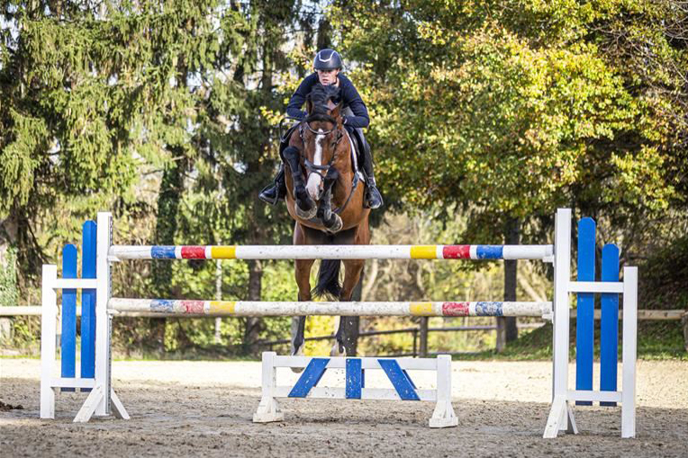 Springpferde kaufen - Verkaufspferde - Reitsportzentrum Bödicker