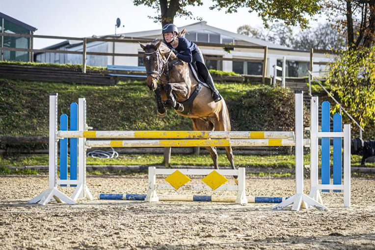 Springpferde kaufen - Verkaufspferde - Reitsportzentrum Bödicker