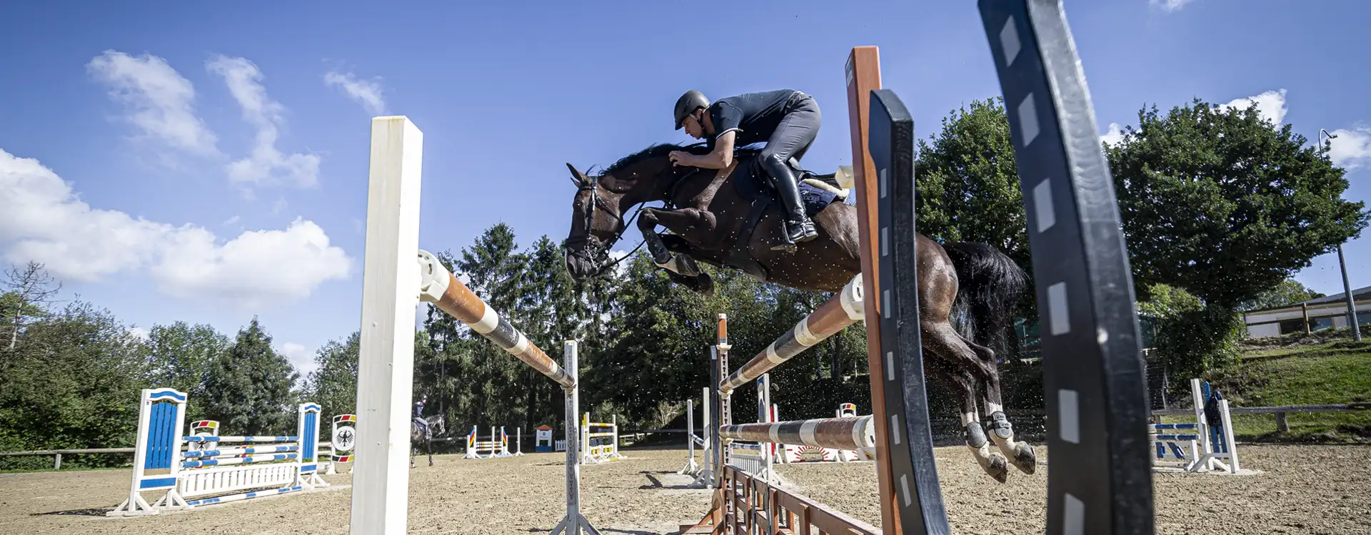 Reitsportzentrum Bödicker Springpferde